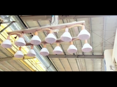 Sıcak satışlı kurabiye mason kavanozları düşük fiyatlı plastik kavanozlar